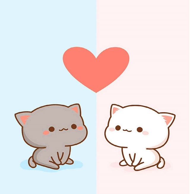 Tình yêu của hai chú mèo con